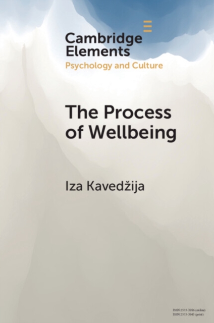 The Process of Wellbeing : Conviviality, Care, Creativity, EPUB eBook