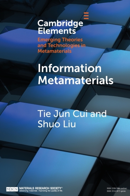 Information Metamaterials, Paperback / softback Book