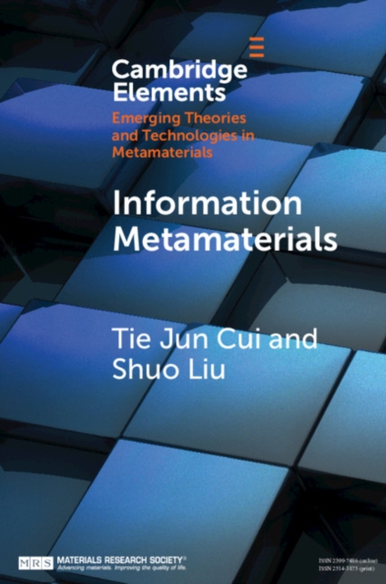 Information Metamaterials, EPUB eBook