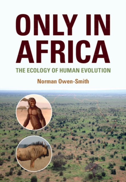 Only in Africa : The Ecology of Human Evolution, EPUB eBook