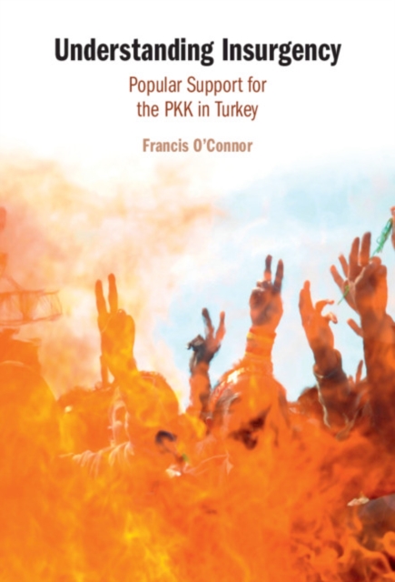 Understanding Insurgency : Popular Support for the PKK in Turkey, EPUB eBook