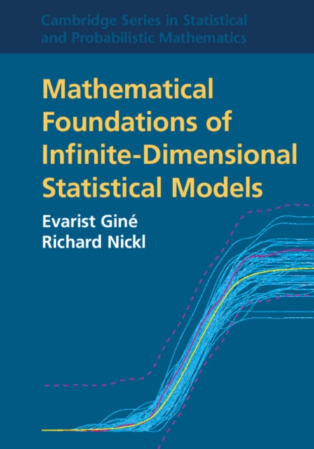 Mathematical Foundations of Infinite-Dimensional Statistical Models, Paperback / softback Book