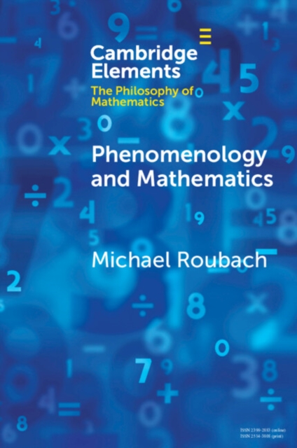 Phenomenology and Mathematics, Paperback / softback Book