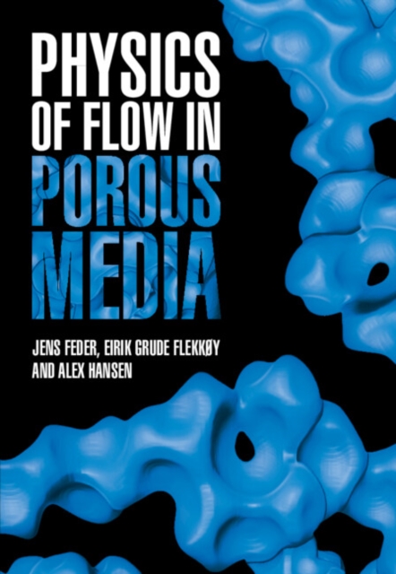 Physics of Flow in Porous Media, EPUB eBook