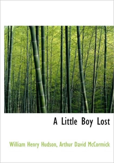 A Little Boy Lost, Hardback Book
