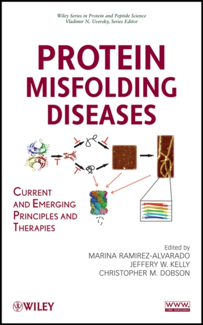 Protein Misfolding Diseases : Current and Emerging Principles and Therapies, EPUB eBook