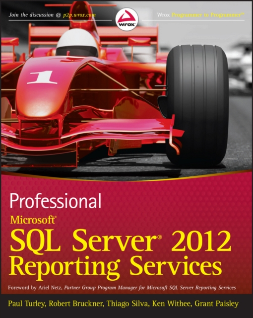 Professional Microsoft SQL Server 2012 Reporting Services, PDF eBook