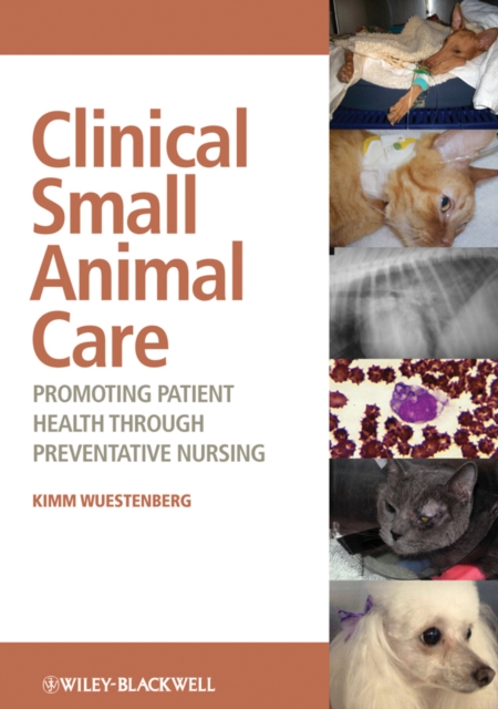 Clinical Small Animal Care : Promoting Patient Health through Preventative Nursing, PDF eBook