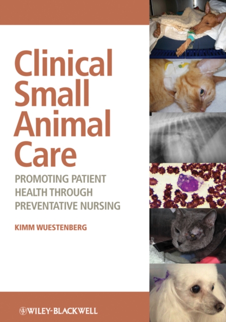 Clinical Small Animal Care : Promoting Patient Health through Preventative Nursing, EPUB eBook