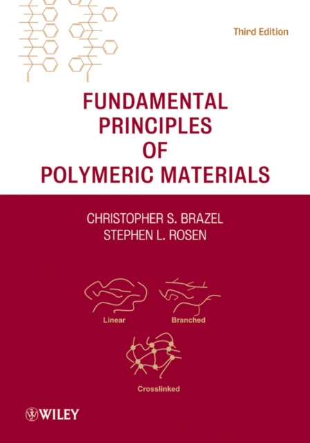 Fundamental Principles of Polymeric Materials, EPUB eBook