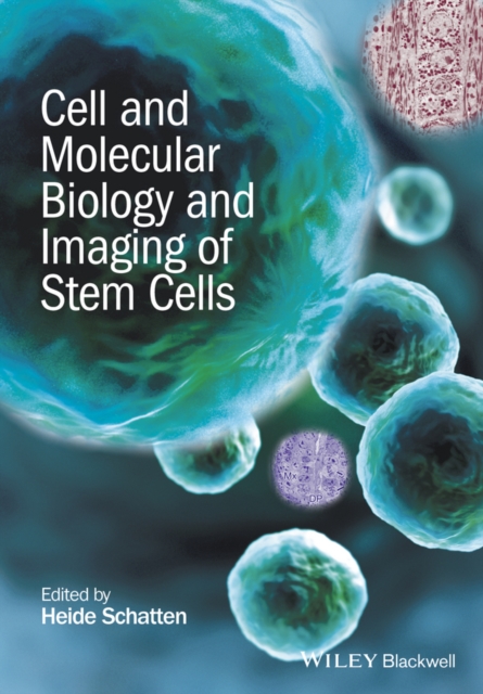 Cell and Molecular Biology and Imaging of Stem Cells, PDF eBook