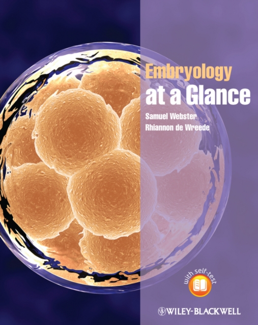 Embryology at a Glance, PDF eBook
