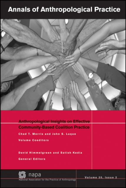 Anthropological Insights on Effective Community-Based Coalition Practice, Paperback / softback Book