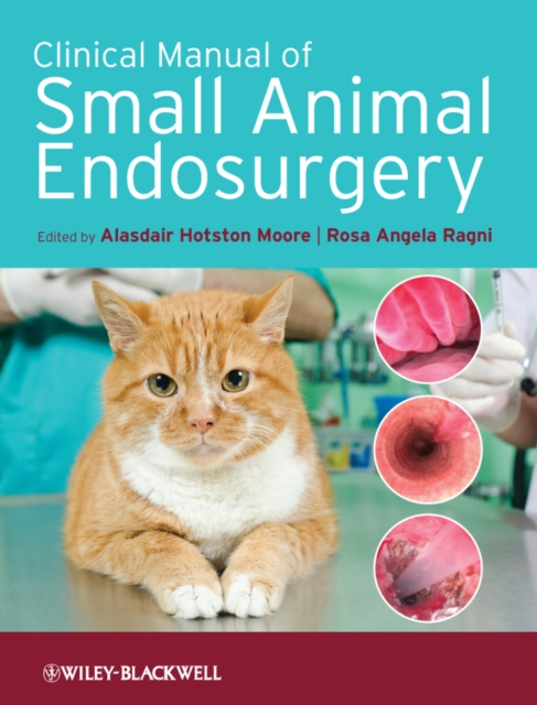 Clinical Manual of Small Animal Endosurgery, PDF eBook