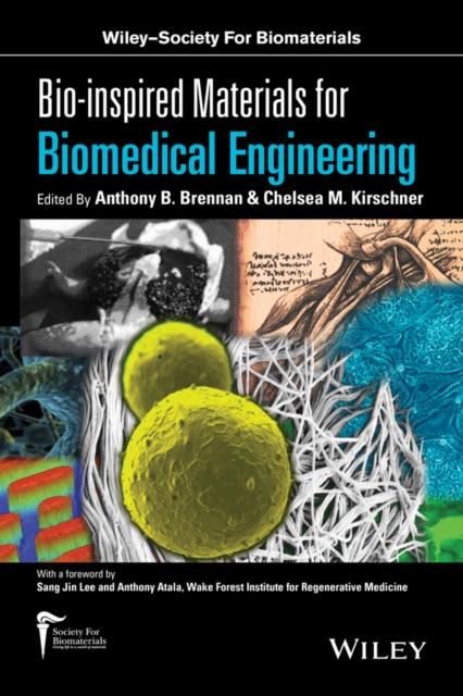 Bio-inspired Materials for Biomedical Engineering, Hardback Book