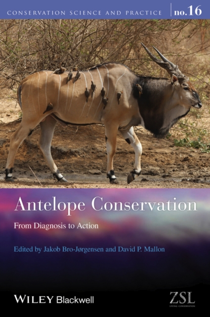 Antelope Conservation : From Diagnosis to Action, EPUB eBook