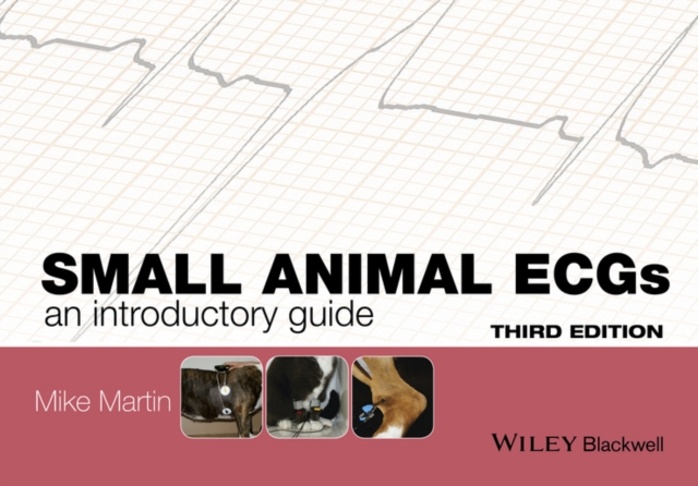 Small Animal ECGs : An Introductory Guide, PDF eBook