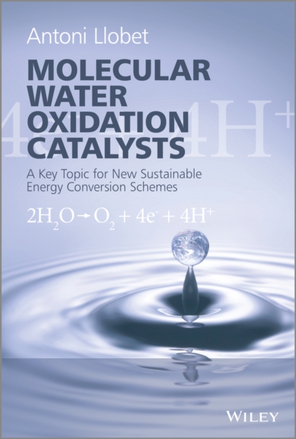 Molecular Water Oxidation Catalysis : A Key Topic for New Sustainable Energy Conversion Schemes, Hardback Book