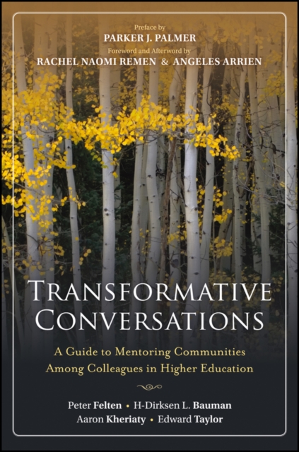 Transformative Conversations : A Guide to Mentoring Communities Among Colleagues in Higher Education, PDF eBook