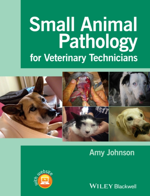 Small Animal Pathology for Veterinary Technicians, Paperback / softback Book