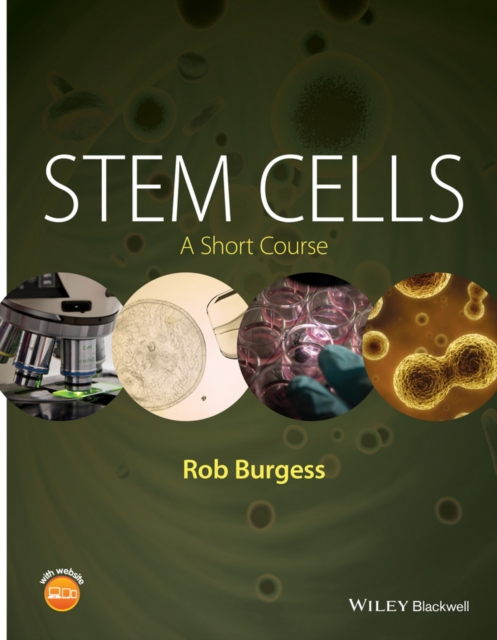 Stem Cells : A Short Course, EPUB eBook
