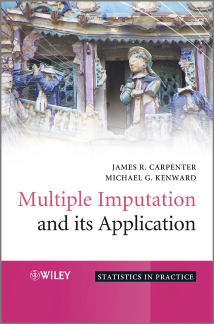 Multiple Imputation and its Application, EPUB eBook