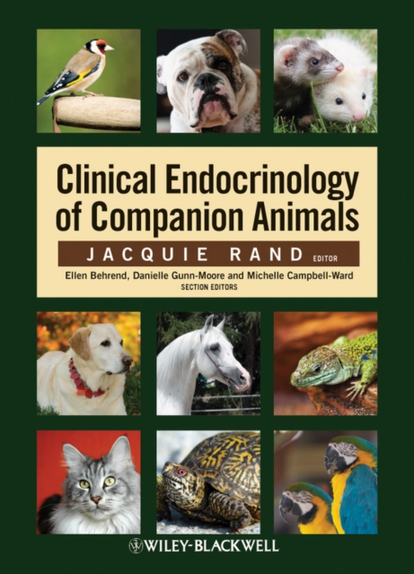Clinical Endocrinology of Companion Animals, PDF eBook