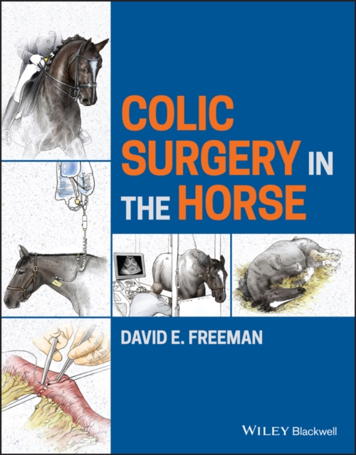 Colic Surgery in the Horse, Hardback Book