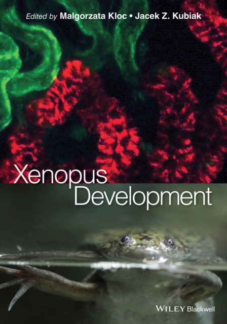 Xenopus Development, Hardback Book