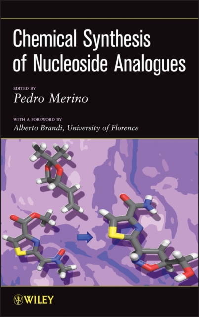 Chemical Synthesis of Nucleoside Analogues, PDF eBook