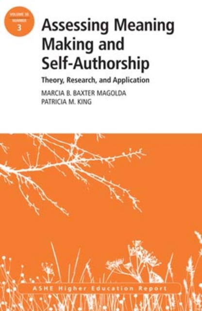 Assessing Meaning Making and Self-Authorship: Theory, Research, and Application : ASHE Higher Education Report 38:3, Paperback / softback Book