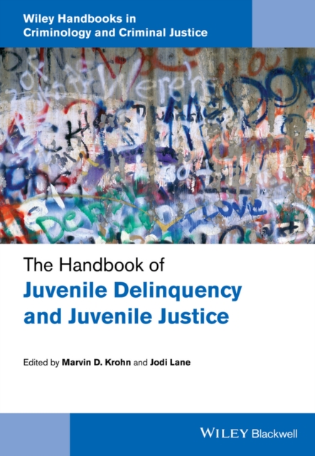 The Handbook of Juvenile Delinquency and Juvenile Justice, EPUB eBook