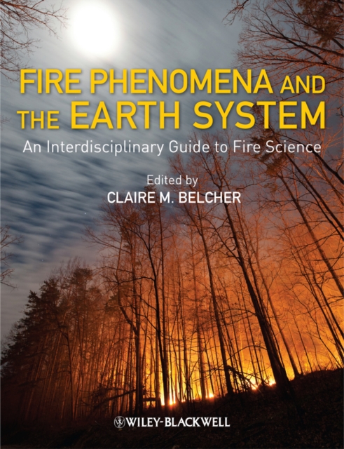 Fire Phenomena and the Earth System : An Interdisciplinary Guide to Fire Science, PDF eBook