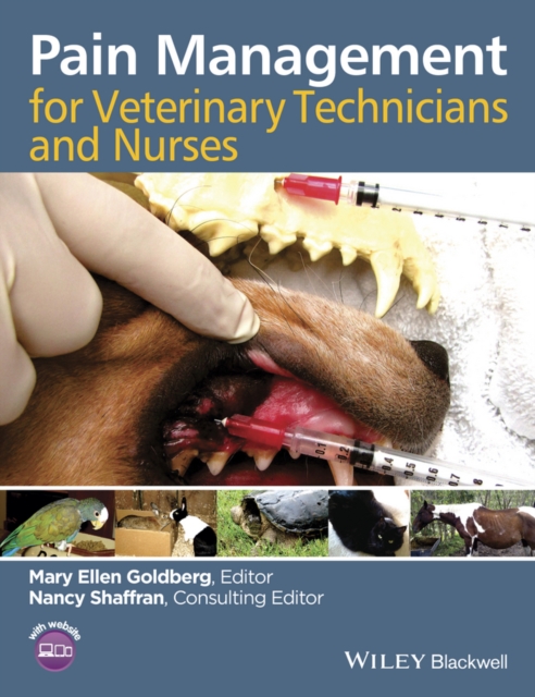 Pain Management for Veterinary Technicians and Nurses, Paperback / softback Book