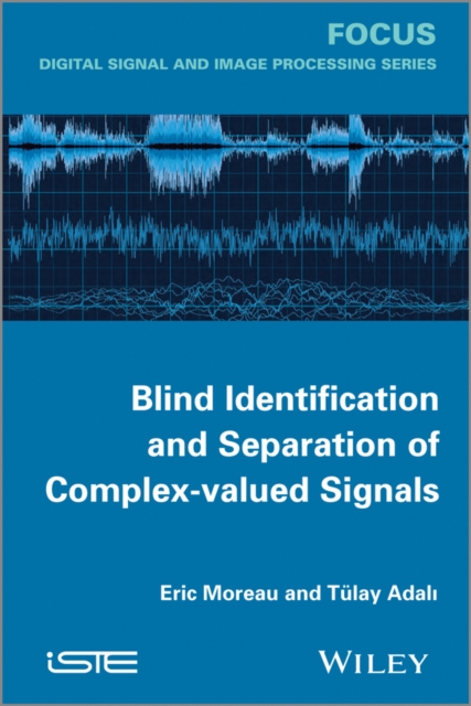 Blind Identification and Separation of Complex-valued Signals, EPUB eBook