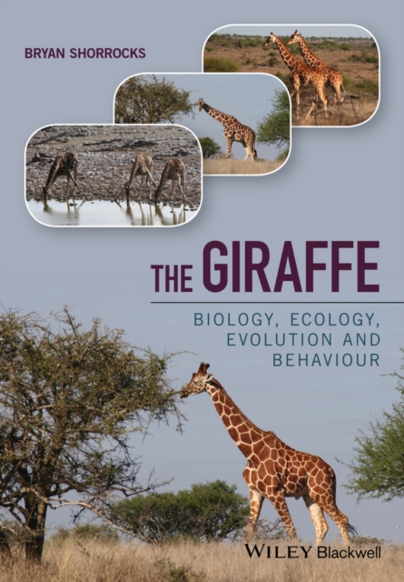 The Giraffe : Biology, Ecology, Evolution and Behaviour, Hardback Book