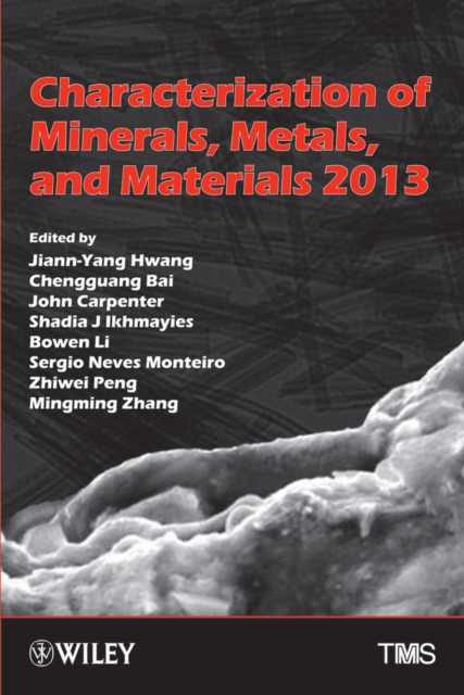 Characterization of Minerals, Metals, and Materials 2013, Hardback Book