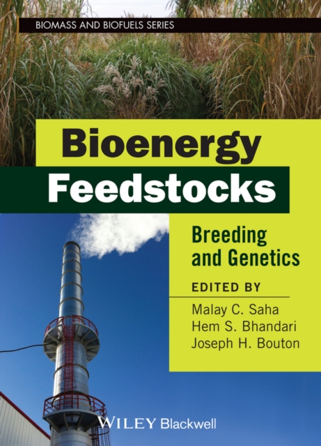 Bioenergy Feedstocks : Breeding and Genetics, EPUB eBook