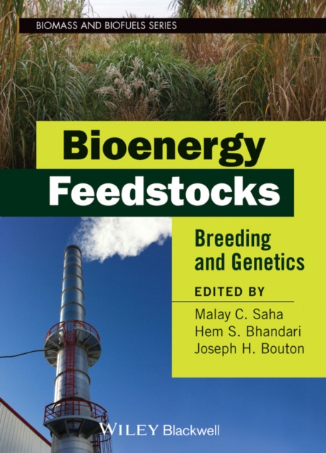 Bioenergy Feedstocks : Breeding and Genetics, PDF eBook