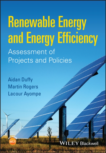 Renewable Energy and Energy Efficiency : Assessment of Projects and Policies, PDF eBook