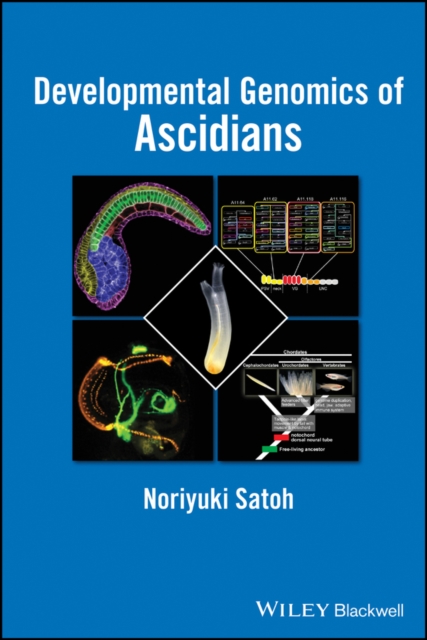 Developmental Genomics of Ascidians, PDF eBook