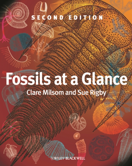 Fossils at a Glance, EPUB eBook