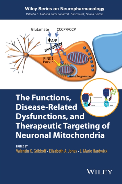 The Functions, Disease-Related Dysfunctions, and Therapeutic Targeting of Neuronal Mitochondria, Hardback Book