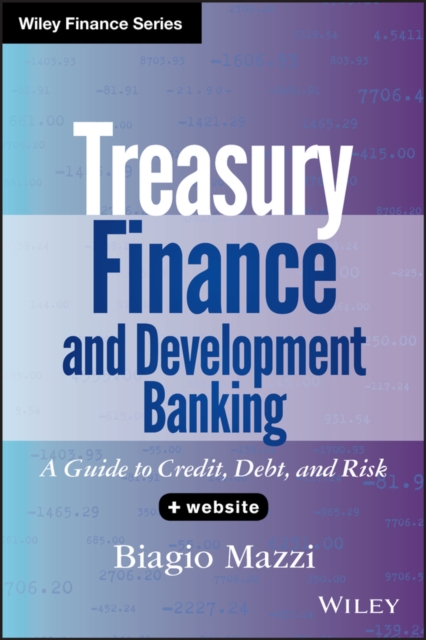 Treasury Finance and Development Banking, + Website : A Guide to Credit, Debt, and Risk, Hardback Book