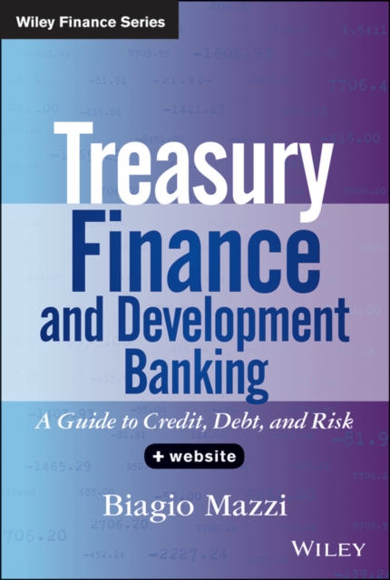 Treasury Finance and Development Banking : A Guide to Credit, Debt, and Risk, EPUB eBook