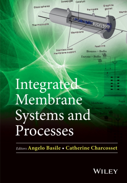 Integrated Membrane Systems and Processes, Hardback Book