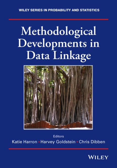 Methodological Developments in Data Linkage, Hardback Book