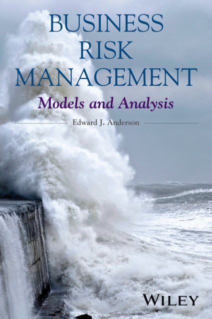 Business Risk Management : Models and Analysis, PDF eBook