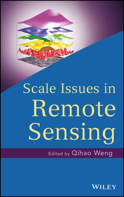 Scale Issues in Remote Sensing, EPUB eBook