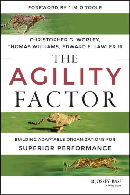 The Agility Factor : Building Adaptable Organizations for Superior Performance, PDF eBook